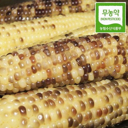 햇살농원 강원도 정선 냉동 흑 찰 옥수수 리뷰후기