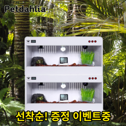 파충류 포맥스 육지거북이 크레스티드 레오파드 게코 도마뱀 사육장
