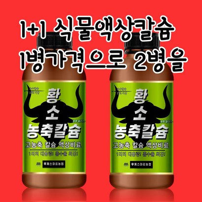 무계 식물 농축 액상 칼슘제