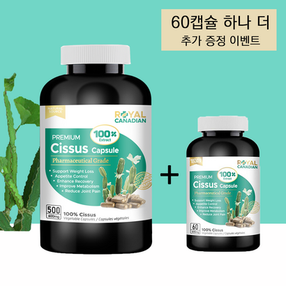 로얄 캐네디언 100배 고농축 시서스 500캡슐 0캡슐