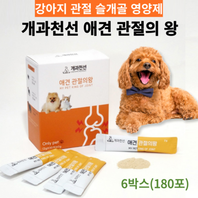 강아지 관절 영양제 슬개골 탈구 다리절음 개과천선 관절의왕
