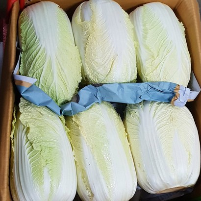 백산상회 쌈배추 1박