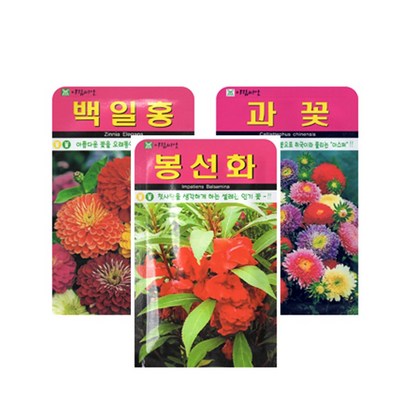 화분월드 꽃씨앗 3종세트 2