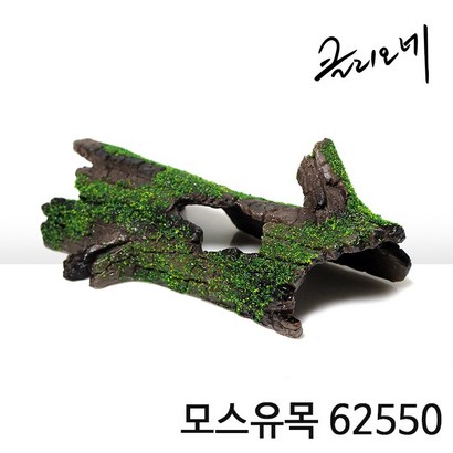 아이사이언스에듀 모스유목 가재은신처 새우놀이터 어항꾸미기 유목