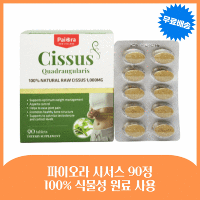 파이오라 뉴질랜드 정품 시서스 고농축 휴대성 90캡슐 3개월분 알약 캡슐 정 사은품