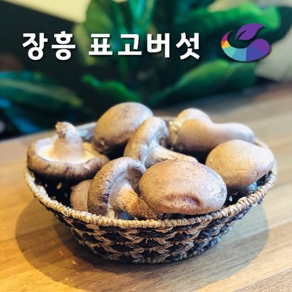 장흥 생표고버섯
