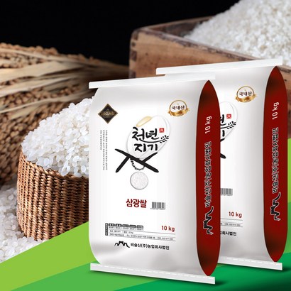 2022년산 천년지기 삼광쌀 특 백미 햅쌀 쌀 삼광미