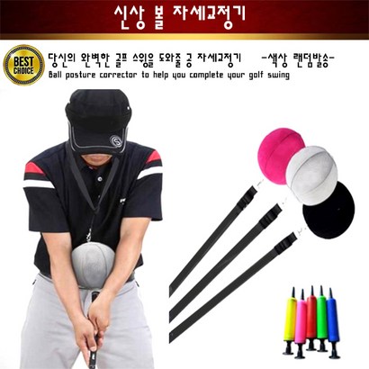 볼 자세교정기 스윙교정기 골프용품 필드용품 리뷰후기