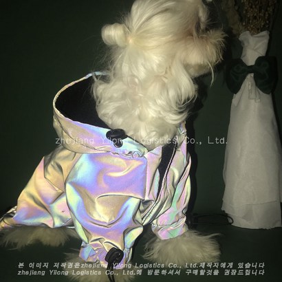 couyor 강아지 고양이 반려동물 가을 겨울 야광 후드집업