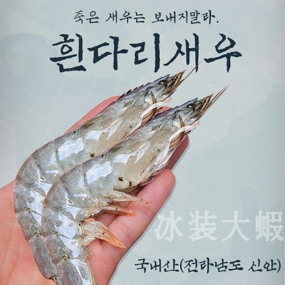국산 생물 대하 흰다리새우 왕 신안 활 새우 구이용 횟감용 리뷰후기