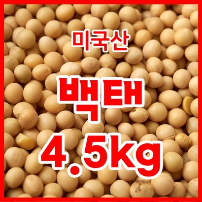 백태 4 수입콩 수입산 원적외선 열을가한 백태 두부콩/메주콩/콩국수콩 리뷰후기