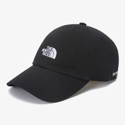 TNF 로고 소프트 캡 NE3CN58A_BK 리뷰 후기