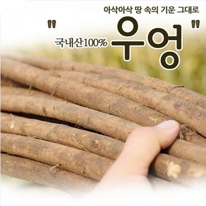 연고농장 우엉 리뷰후기