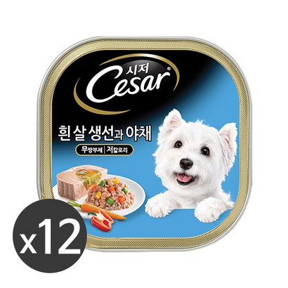 시저 애견간식 캔