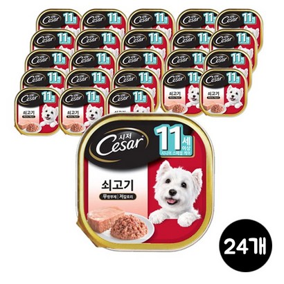 ars 시저 애견 간식 캔24개