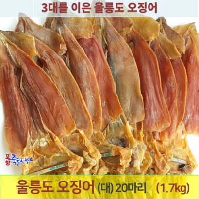 죽도시장 울릉도 오징어 1 20마리 울릉도오징어