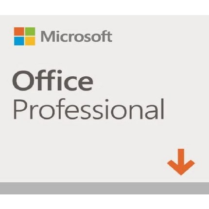 Office 2019 Professional (ESD/기업용/멀티랭귀지), 留