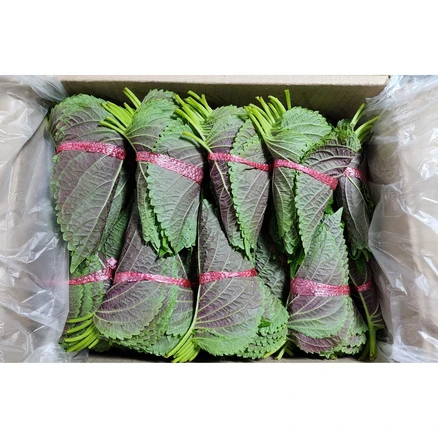 국내산 깻잎 5단 10단 25단, 10단(약 400g), 참여, 400g, 1개