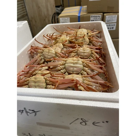 빵게 암컷대게 북해도산 일본산 짜박게, 1박스, 2KG