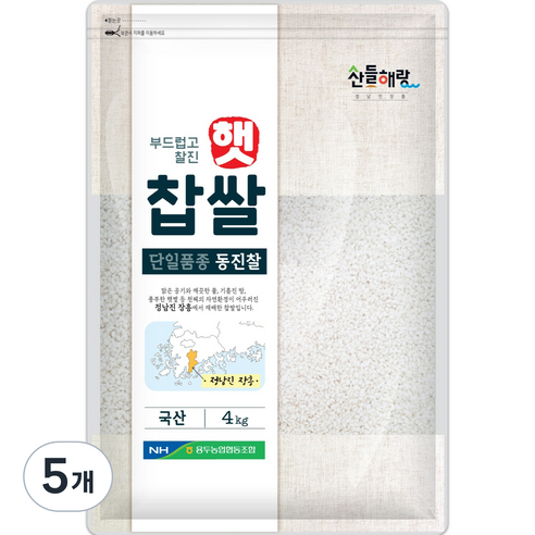 정남진장흥 산들해랑 동진 찹쌀, 4kg, 5개