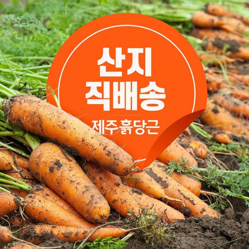 쥬스용 이쁜 흙당근 리뷰후기