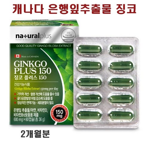 징코플러스 은행잎추출물 기억력 두뇌건강 영양제 혈행개선 혈액순환 부모님 수험생 집중력영양제 추천 아연 비타민D 비타민B12 플라보놀 징코민 효능 캐나다 직수입 리뷰 후기