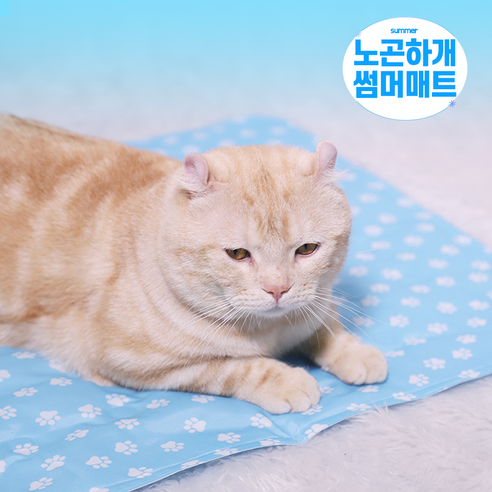 GOREA 노곤하개 강아지 고양이 애견 쿨매트 방석 소형 중형 대형견 리뷰후기