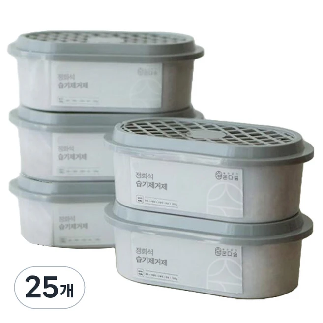온다숲 반영구 제습제 본품, 300g, 25개