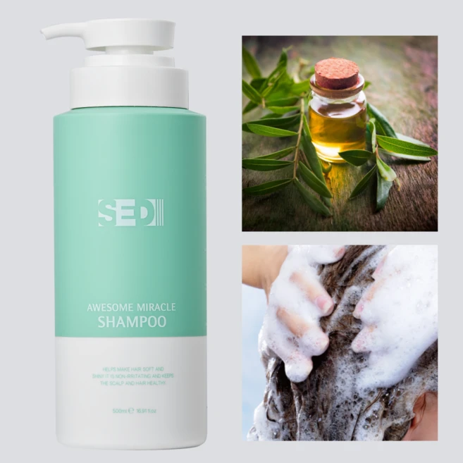 세디 샴푸 극손상 단백질 약산성 미용실, 1개, 500ml