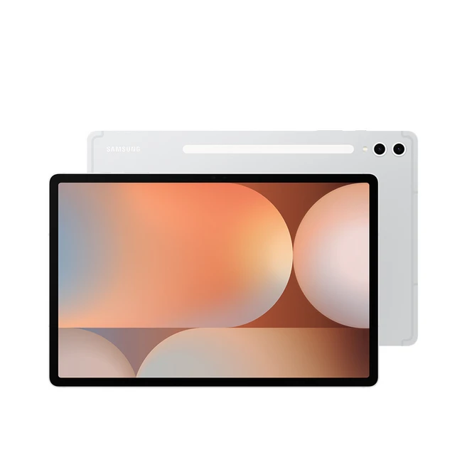 삼성전자 갤럭시탭 S10 플러스 256GB/512GB, Wi-Fi, 256GB, 플래티넘 실버