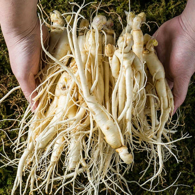 [실속형]금산 인삼 5년근 산지직송, 막삼800g+덤200g(세척), 1개