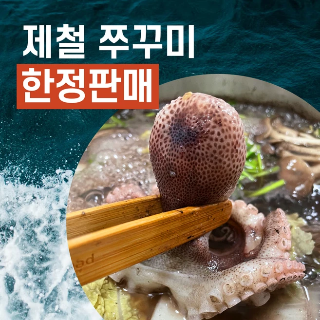 국산 활쭈꾸미 생물 주꾸미, 3kg, 1개