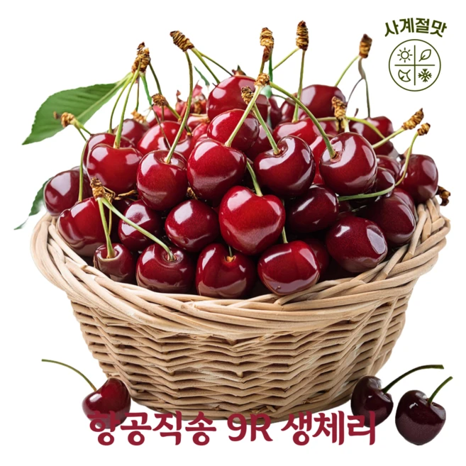 사계절맛 달콤함을 가득 담은 항공직송 9R 특대 프리미엄 생체리, 1개, 500g