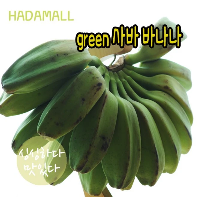 사바 바나나 필리핀 그린 과일 green saba banana, 1개, 3kg