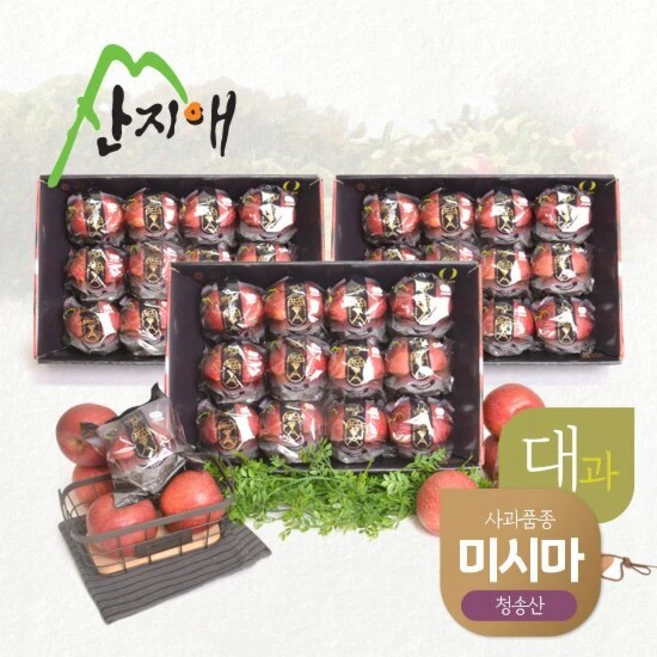 산지애 블랙라벨 사과 9kg (3kg*3박스 총 24~36과/대과), 단품