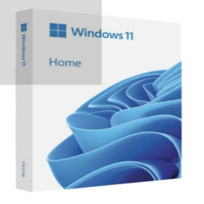 MS WINDOWS 11 HOME FPP/USB(처음 사용자용) 멀티랭귀지(한글/영문외 지원)