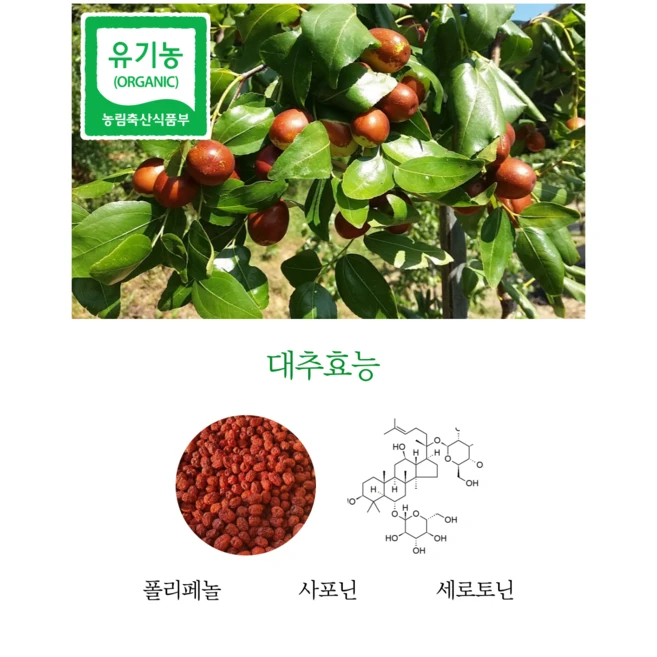 당도 높은 유기농 건대추 400g, 1개