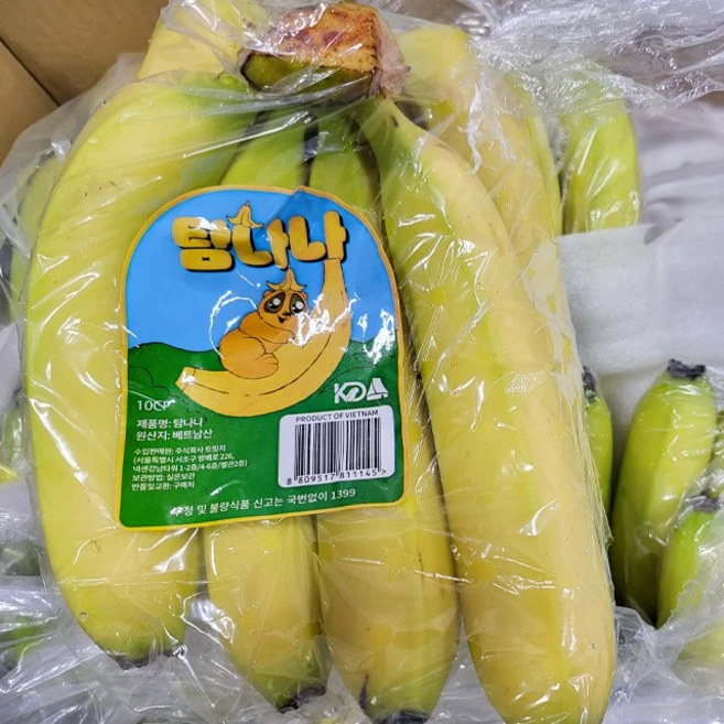 고당도 프리미엄 바나나 1박스 7kg 13kg 대용량 식사대용 아이간식 송이당 6-10개, 5송이(7kg내외), 1개