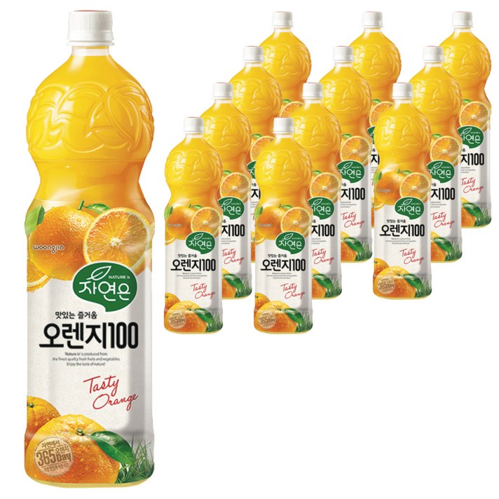 자연은 365일 오렌지 100 주스, 1500ml, 12개