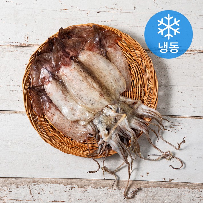 달빛청춘 동해안 반건조 오징어 7미 (냉동), 490g, 1개