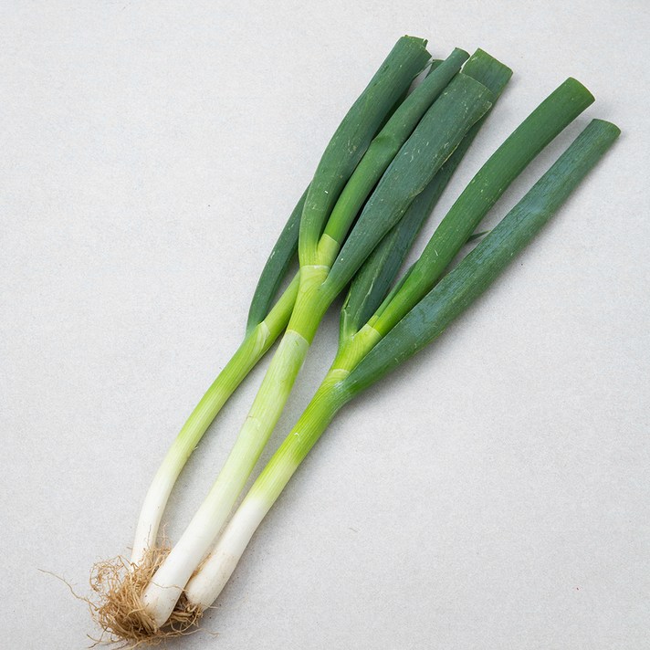 무농약인증 국내산 대파, 300g, 1봉