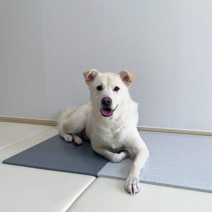 반려동물 여름매트 고양이 대리석 강아지 쿨매트, 랜덤