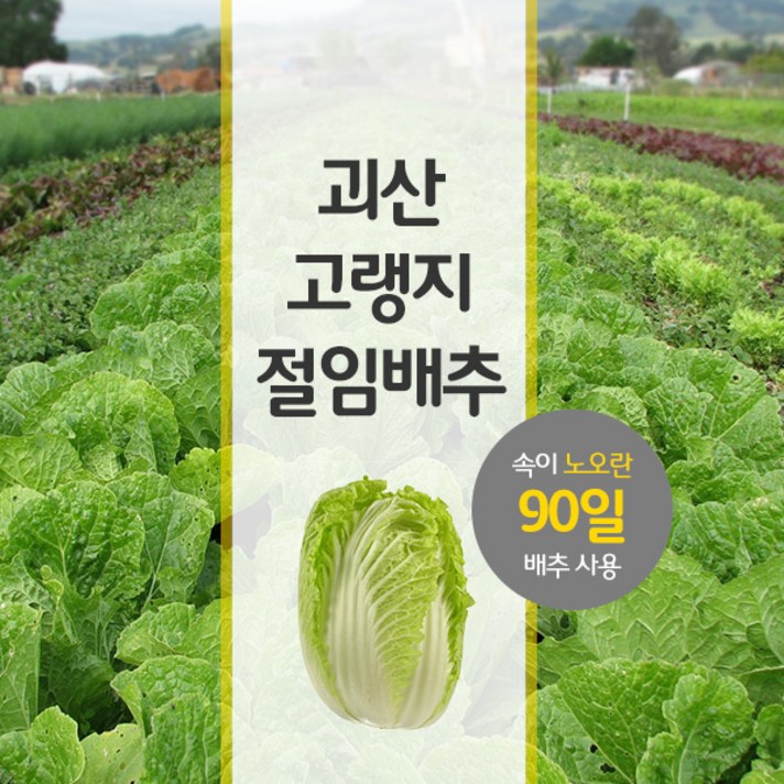 품질보증 A/S 100% 괴산사랑 청결한 괴산절임배추20kg, 괴산절임배추20kg 중품, 12월16일목도착