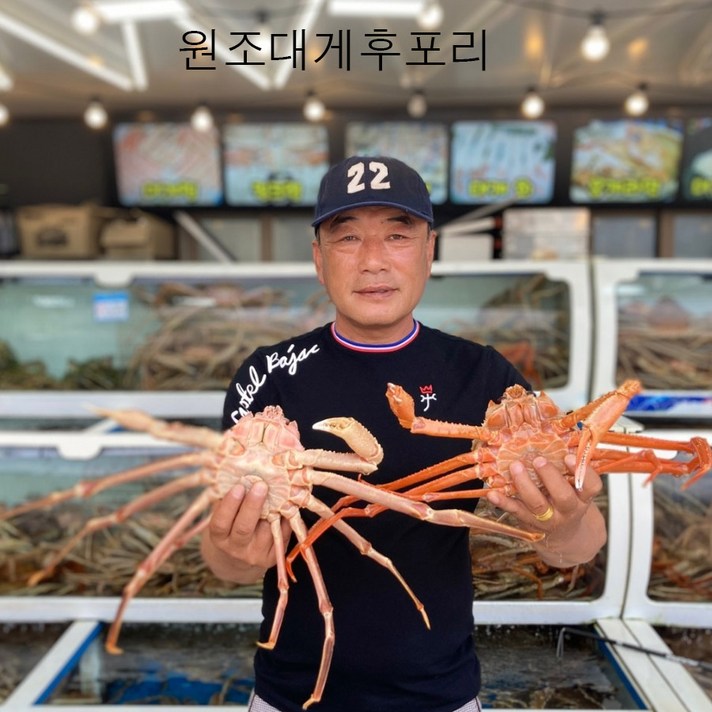 원조대게후포리 속이 꽉찬 달큰한 후포리 붉은대게 3kg 홍게 산지직송 수요미식회 맛집출연, C등급(살수율50~80%)