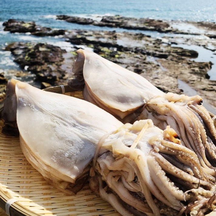 건어물이좋다 동해안 국산 영덕 반건조오징어 피데기 10미 800g~1.7kg, 국산 중 1.0kg 내외 10미