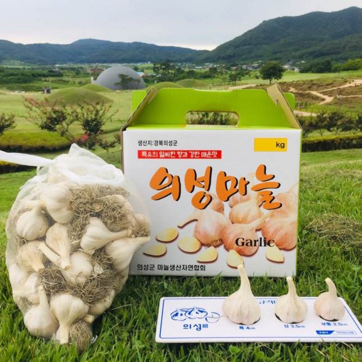 의성마늘왕 의성 토종마늘 김장용 저장용, 1box, 3kg(중) 120~140