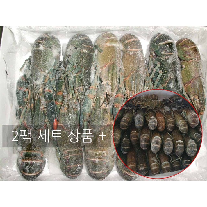 랩쿡 크레이피쉬 민물가재 2팩 13-15미 + 21-25미 + 소스 포함, 2box, 2팩 8-12미+31-40미