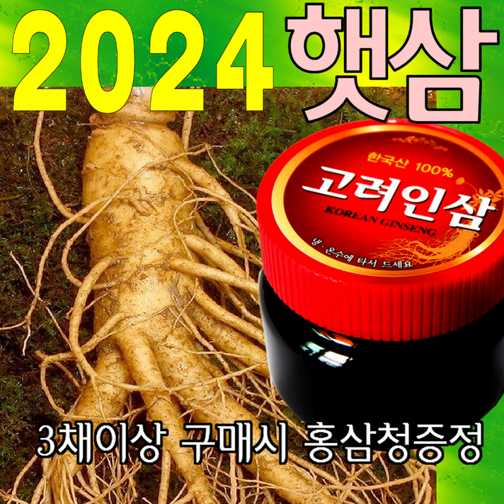 금산인삼아줌마 인삼 (4호)특난발삼 750g 산지에서 발송 가정용 수삼, 특난발삼(4호) 750g, 3개