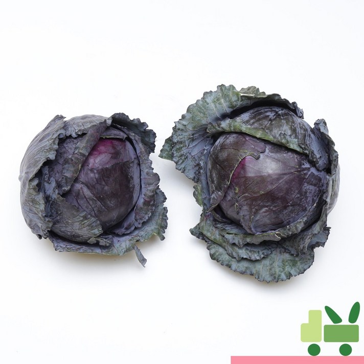 사라상회 적양배추 (적채) 2등 5kg