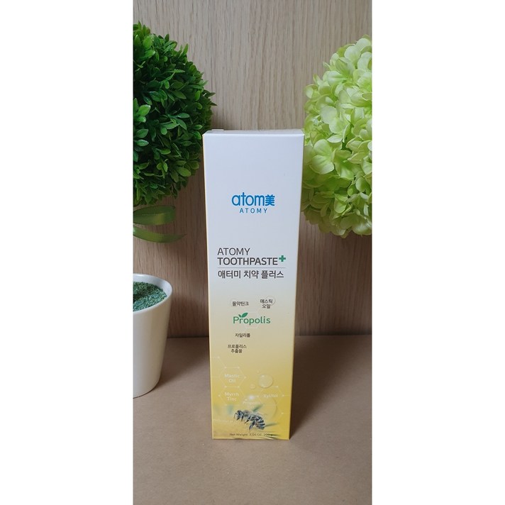 애터미 치약 플러스, 200g, 12개